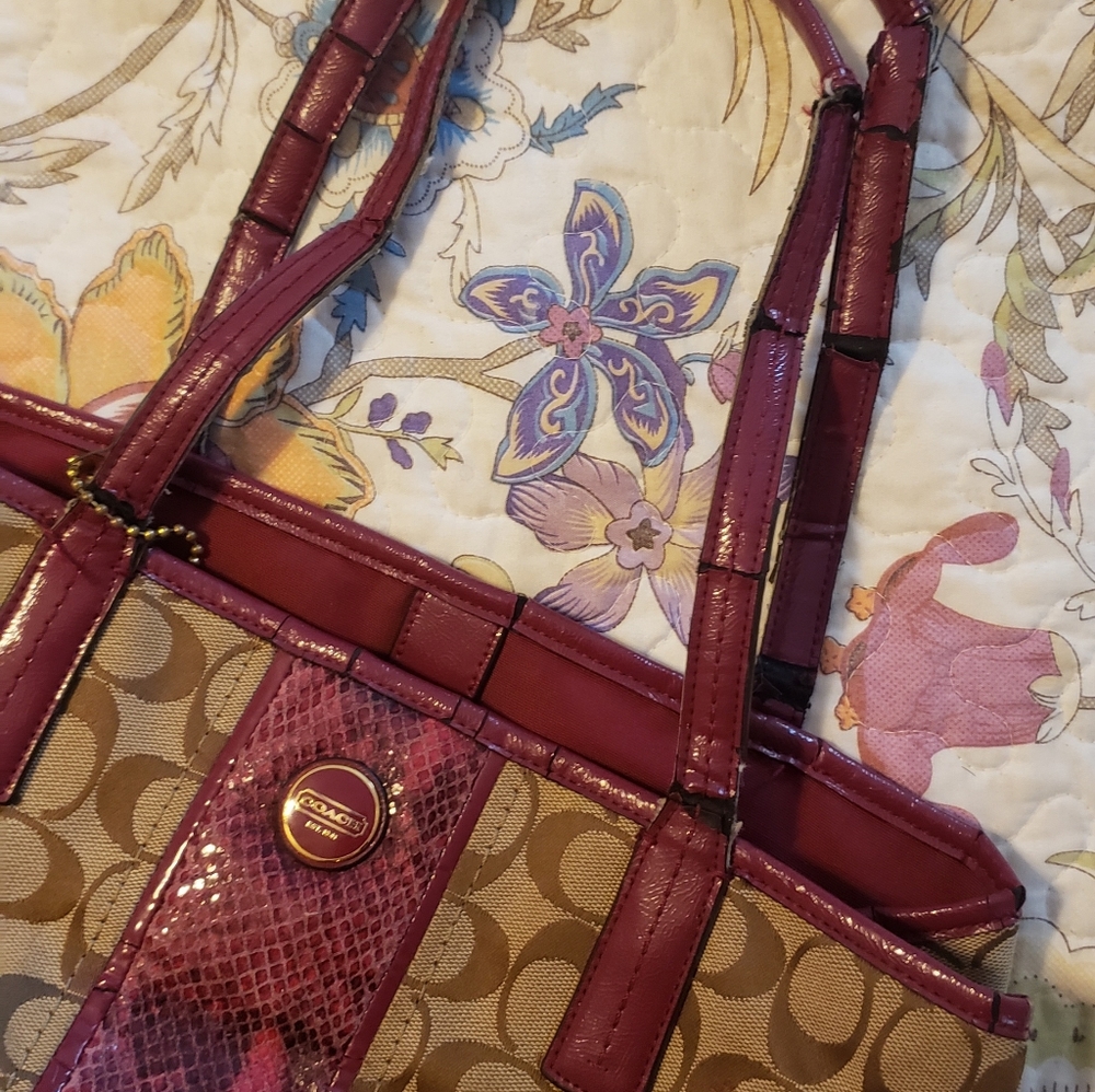 Coach Signature Python Stripe Bag - image 5